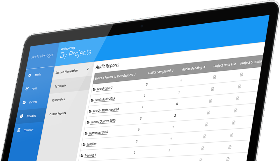 screenshot of Audit Manager
